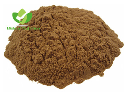 Reishi mushroom extract, Polysaccharide 10% ~ 40%