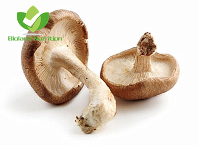 Shiitake mushroom, cut/crushed/ground