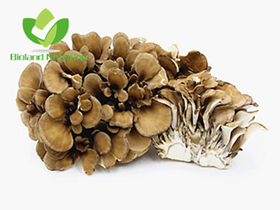 Maitake mushroom, cut/crushed/ground