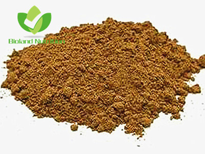 Poria cocos extract, Polysaccharide 10% ~ 40%