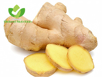 Dehydrated Ginger, flakes/powder