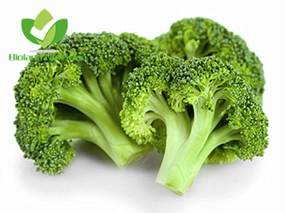 Dehydrated Broccoli, florets/powder