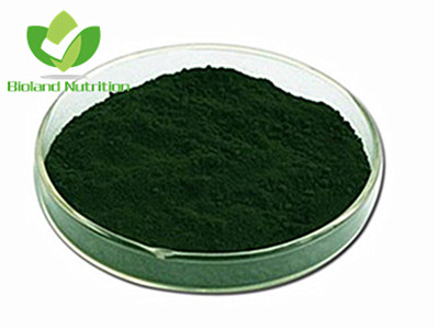 Sodium Copper Chlorophyllin, USP/Internal Standard