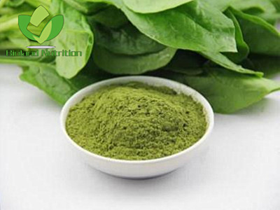 Dehydrated Spinach powder