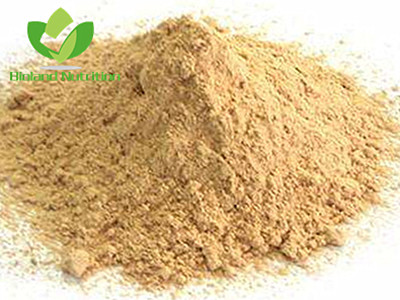 Rice Protein powder, 300mesh/600mesh/1000mesh