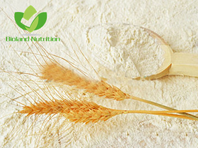Wheat Gluten, Protein 75～85%