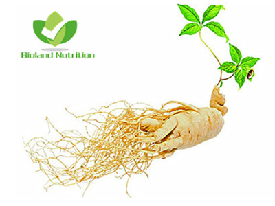 Ginseng roots, cut/crushed/ground