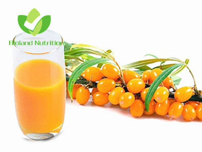 Seabuckthorn juice, NFC/concentrate