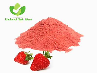 Strawberry powder, freeze dried